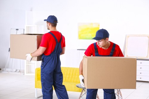 Customer complaint review for a man and van service