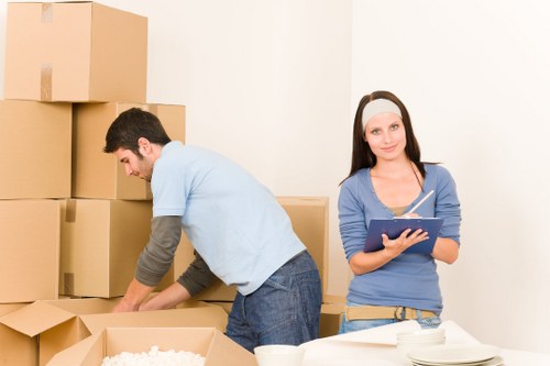 Professional packing materials and boxes for a move in Roehampton