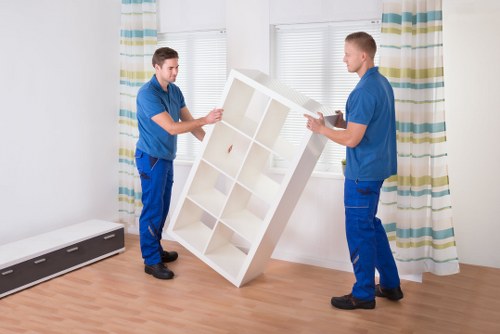 Professional movers packing boxes in Roehampton